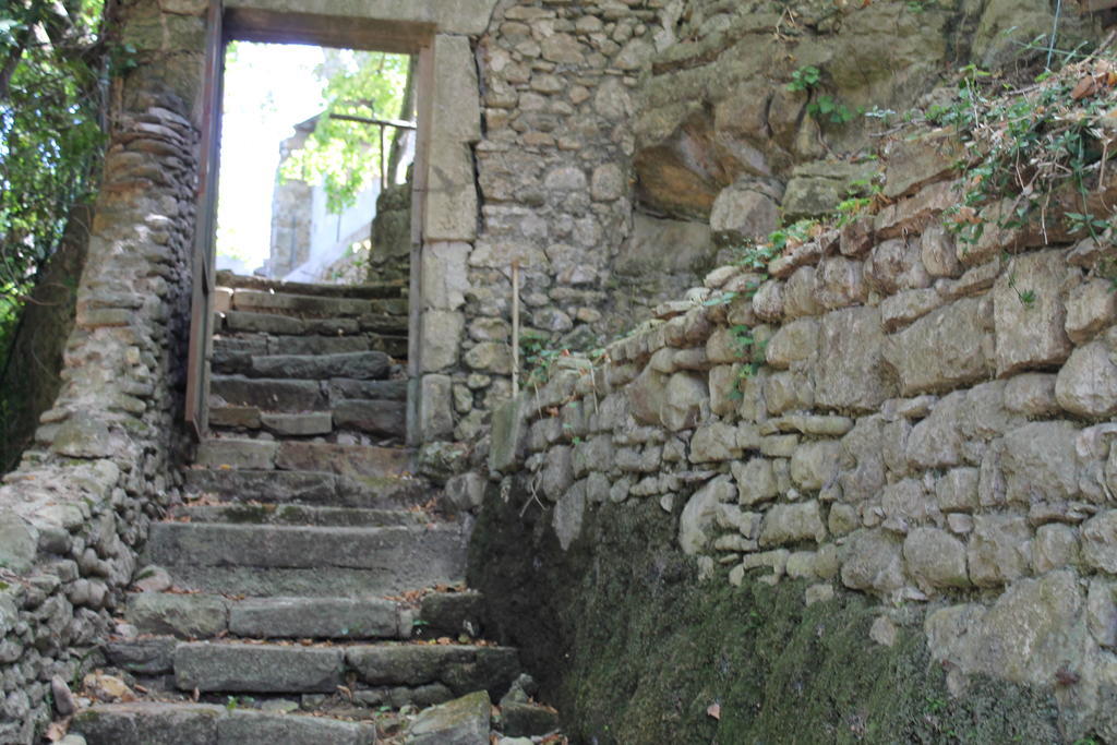 L'Ecrin D'Osely Lodève Exterior foto